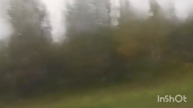 Поездка на автобусе КАвЗ-4238-42, гос номер АВ 302 72, Маршрут 534 @TransportTobolsk72rus