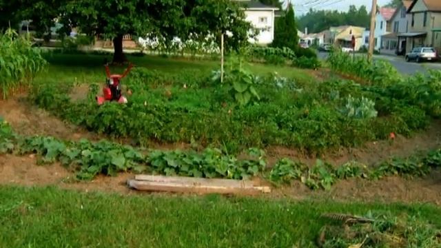 garden time lapse смотреть онлайн