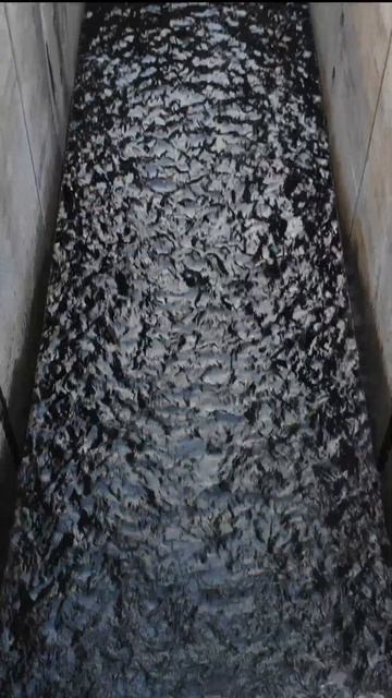 Здесь зарыты десятки миллионов немецких марок! Шлюз № 5 в Георгенфельде.