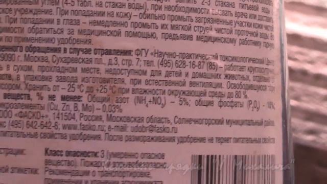 ВЕСНА. 26 марта динамика развития рассады смотреть онлайн