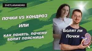 Почки не болят