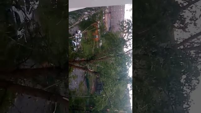 Последствия урагана в Нижнем Тагиле смотреть онлайн