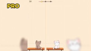 Duet Cats: Cats singing 7 Years music by Lukas Graham, cute cat's cover