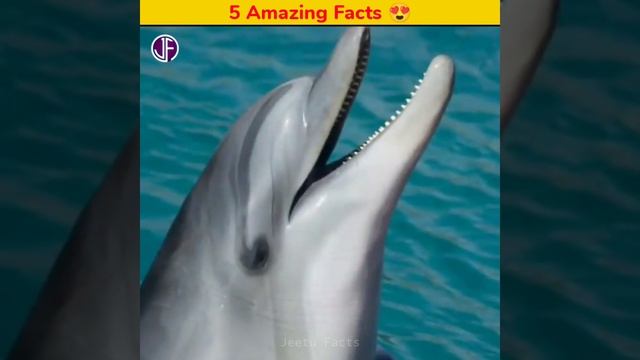 इस देश में पुरषों के साथ इतना अन्याय क्यों ? Amazing Fact | Random Facts | Jeetu Facts | #shorts смотреть онлайн