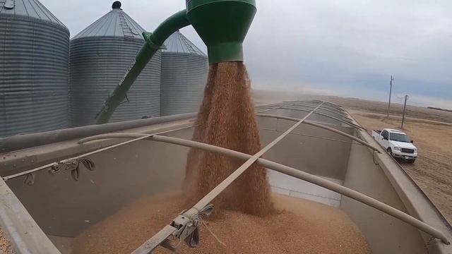 Пневмоперегружатель AGRI VAC от Walinga