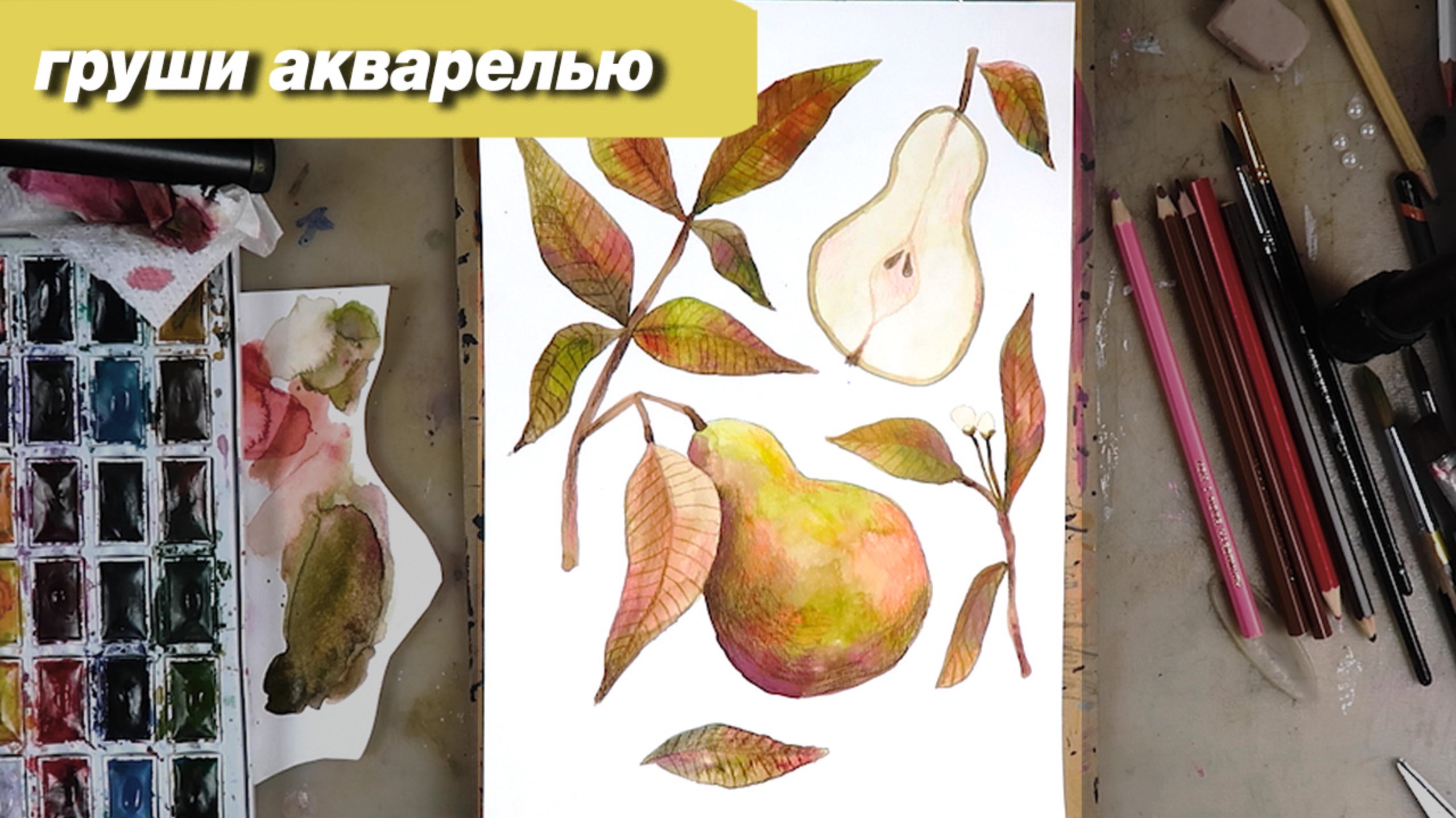 Как нарисовать груши акваелью, пошаговый урок смотреть онлайн