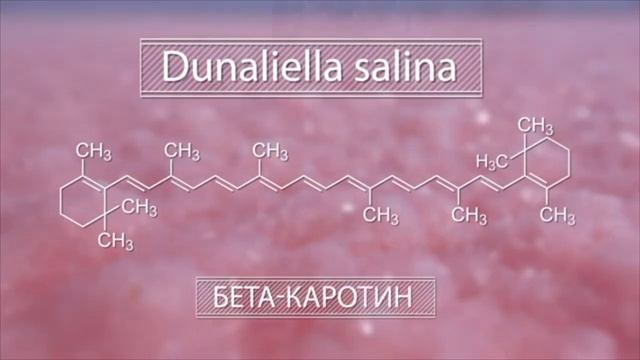 Крымская розовая соль для ванн оптом смотреть онлайн