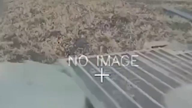 Боевики *"Азова" горят в полях ЛНР. смотреть онлайн