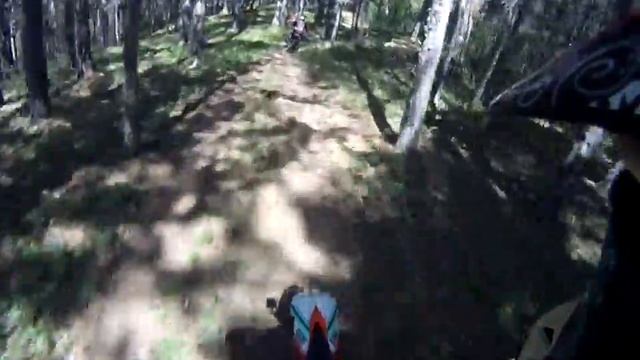 Ягодка DH против шерсти смотреть онлайн