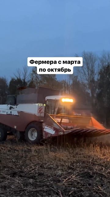 Фермерская жизнь 🫣 Видео шутки ради #сельскоехозяйство #сельхозтехника #ферма #фермер #деревня смотреть онлайн