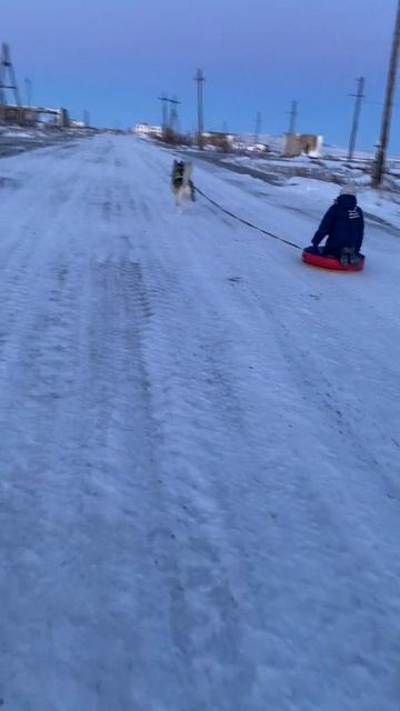 #покатушка на ватрушке смотреть онлайн