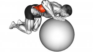 Тренировка всего тела с Фитболом дома