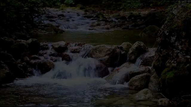 Природа Сибири для вашего здоровья!
