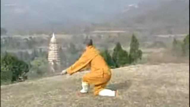 Shaolin Shao Huo Gun (Fire Staff) смотреть онлайн