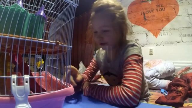 Алиса о животных смотреть онлайн