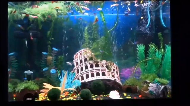 Аквариум с рыбками. Релакс.  #2