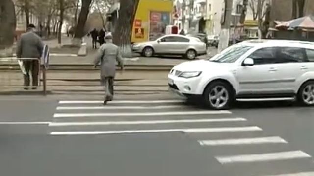 Зебра без хвоста М Маслова смотреть онлайн