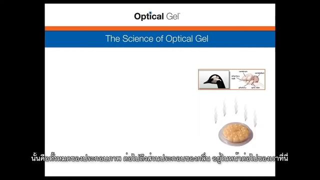 Ep.21 อธิบายความเป็นนวัตกรรม ทำงานยังไง คุณสมบัติของเจลแสงเป็นอย่างไร อธิบายตามหลักวิทยาศาสตร์ смотреть онлайн