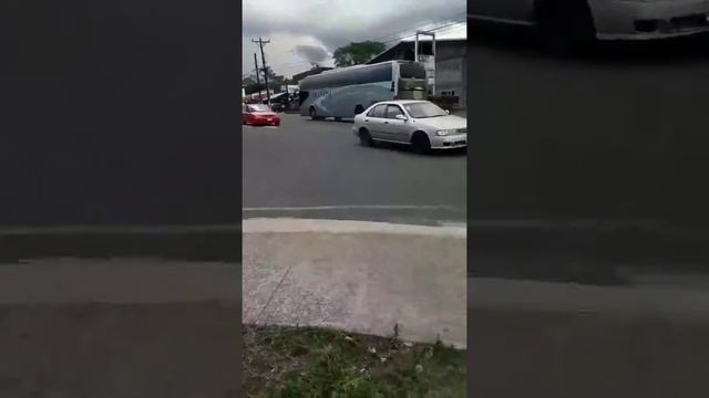 Buses de huanghai en los viajes смотреть онлайн