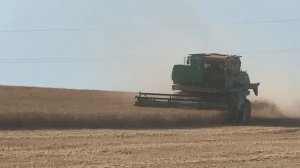 Вся уборка зерновых и зернобобовых в одном видео! Уборка 2024! Ростовская область!