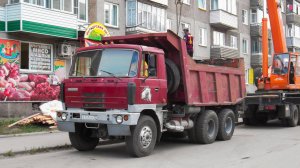 Самосвал Татра 815 (Tatra 815-2 S1) (С 765 УР 22)