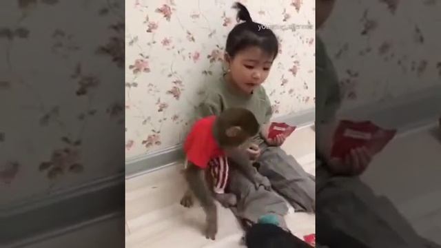 Девочка и обезьянка