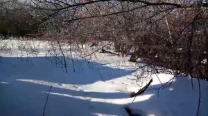 ЗИМА УХОДИТ!!! 2020-2-23-16-13-371000018458.mp4