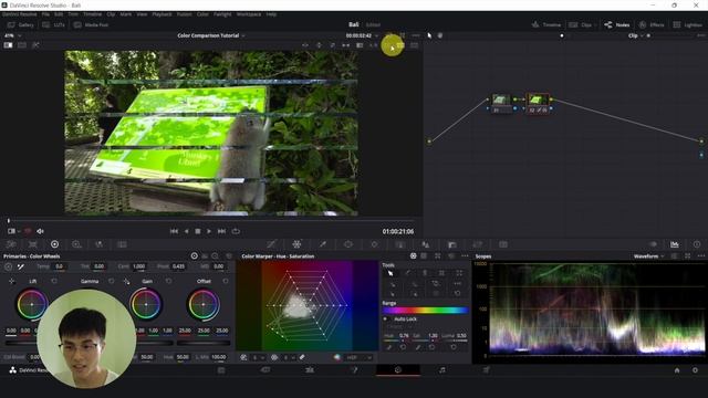 Davinci Resolve Color Comparison [Versions, Split Screen, Groups, Image Wipe] смотреть онлайн