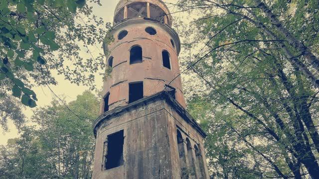 Старые Липы