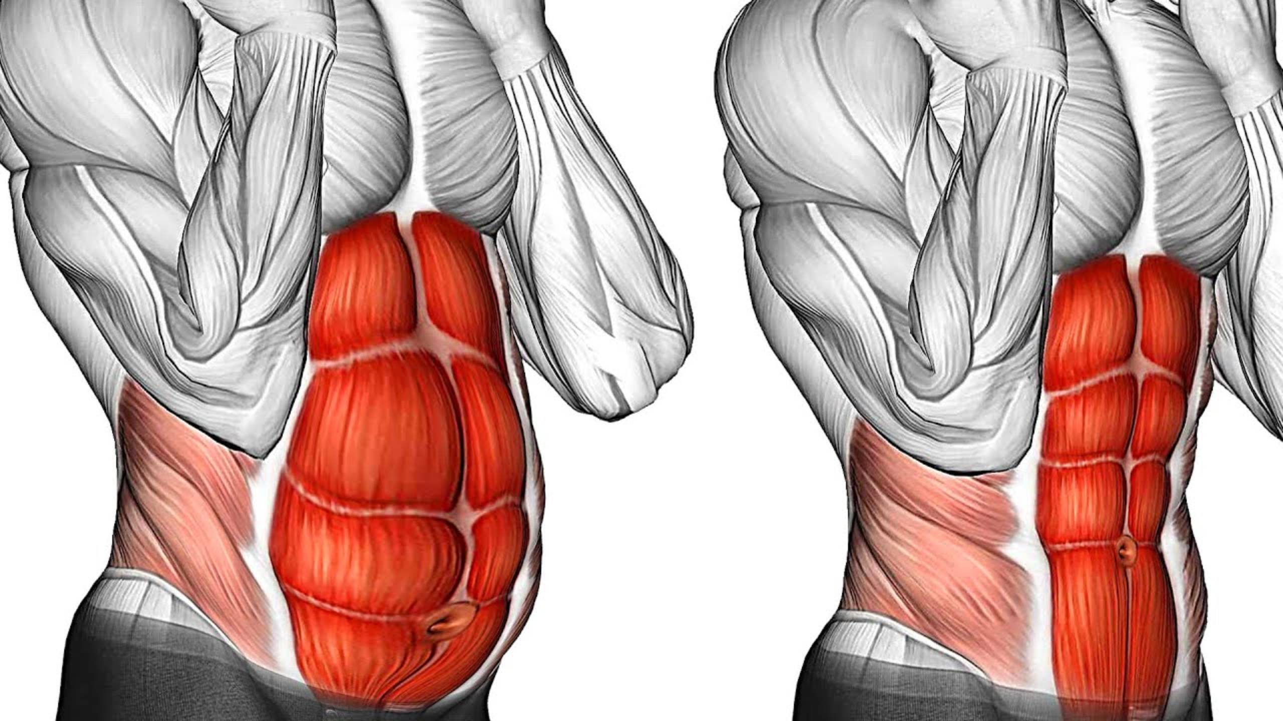 Упражнения для Пресса смотреть онлайн
