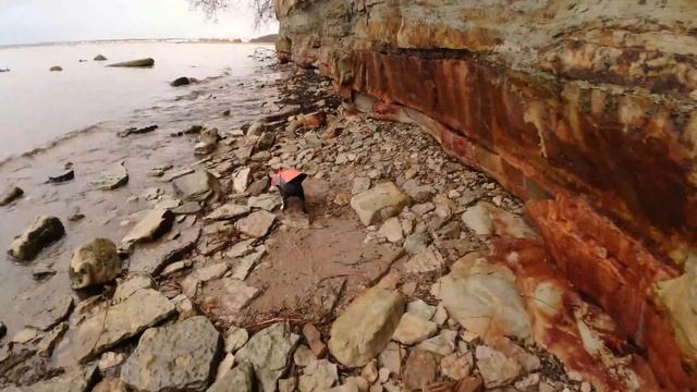 Прогулка с Бостоном/ хорошо погуляли под дождём смотреть онлайн