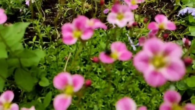 Лена и Ваня LIFE // Райская жизнь закончилась... // Обзор видео// смотреть онлайн