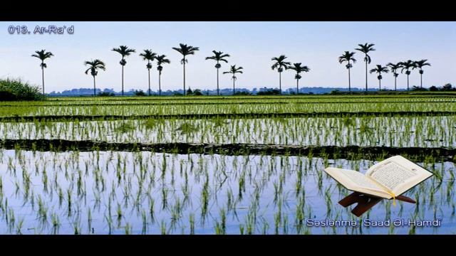 013. Сура Ар-Рад
Прекрасное чтение Корана Чтец: Саадом Аль Гамиди смотреть онлайн