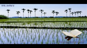 013. Сура Ар-Рад
Прекрасное чтение Корана 
Чтец: Саадом Аль Гамиди