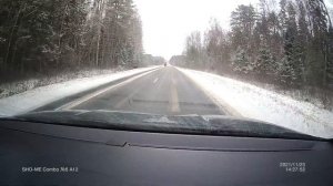 Лось вышел на дорогу