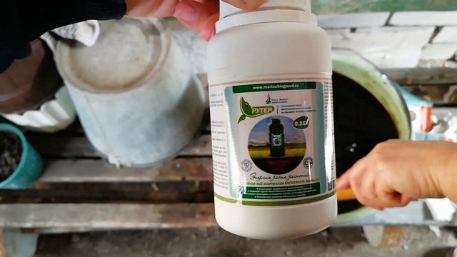 Подкормка огурца.Стимуляция корневой системы. смотреть онлайн