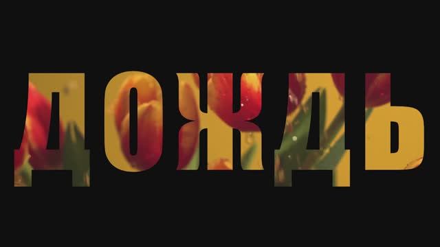 Инфографика