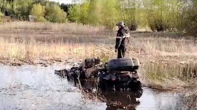 Утопили квадрик