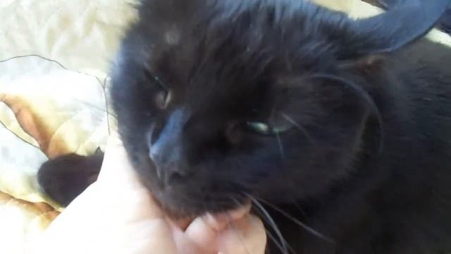 Первые подарки на день рождение. Подготовка к дню рождения. смотреть онлайн