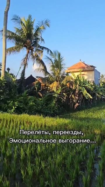 А вы хотели бы путешествие длиной в полтора года? Смотрите описание🔽