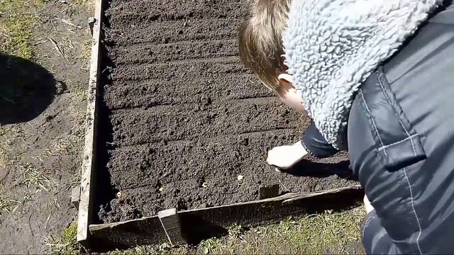 Как сажать лук????? Как рыхлить землю??????? Спасибо вам за 30 подписчиков огромное))))))) смотреть онлайн