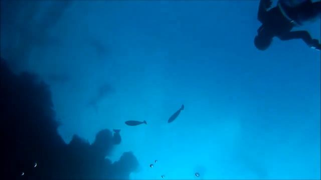 Diving Liberty wreck with Valeria and met Petr on the way up! смотреть онлайн