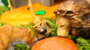 Новые видео - Кукла БЕБИ БОН в Зоопарке! Кормим животных с Baby Born! - Весёлые игры для детей.