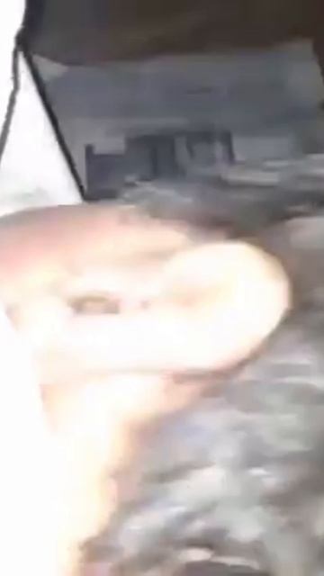 scene_output.mp4 смотреть онлайн
