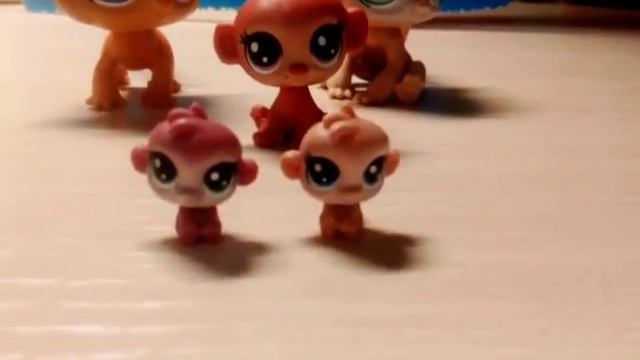 Мои новые петшопы