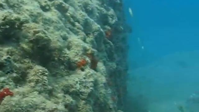 Daily Diving in Turkey смотреть онлайн