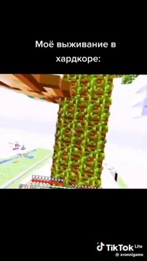 ВЫЖИВАНИЕ В ХАРДКОРЕ MINECRAFT