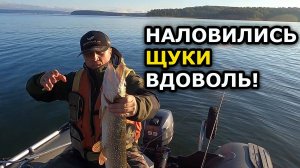 Оцениваю вываживание спиннингом Максимус Адвизор на рыбалке. Рыбалка на щуку получилась отличная!