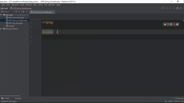 011 String Variables