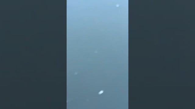 Мощный Сазан Алматы смотреть онлайн